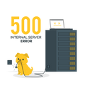 VPS Storage Server illustration