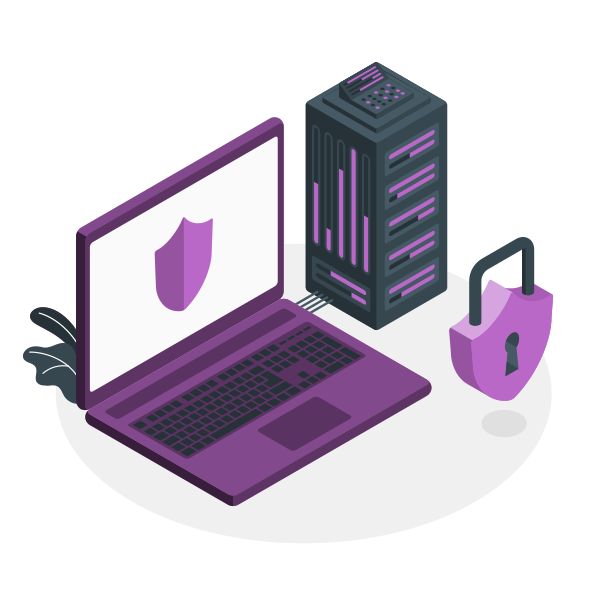 VPS Pro Edition illustration