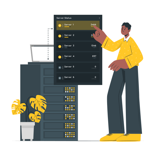 VPS Max Plus illustration